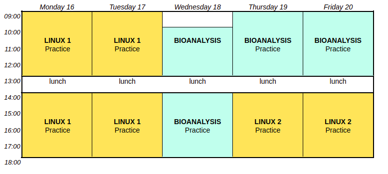 Week 2