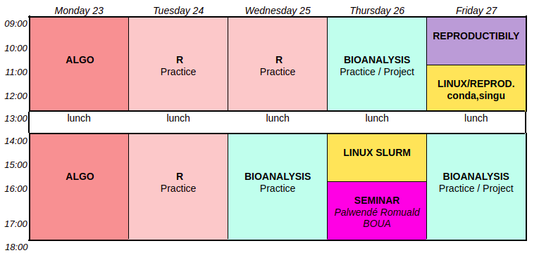 Week 3